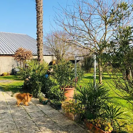 Konukevi Maison De S Vendangeurs *