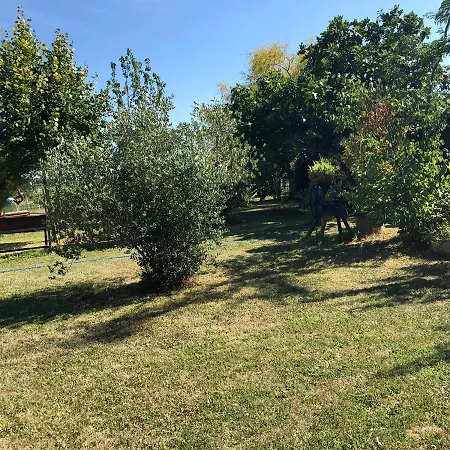 Konukevi Maison De S Vendangeurs *